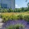 a flower bed in front of a building